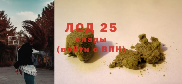 ГАЛЛЮЦИНОГЕННЫЕ ГРИБЫ Алексин
