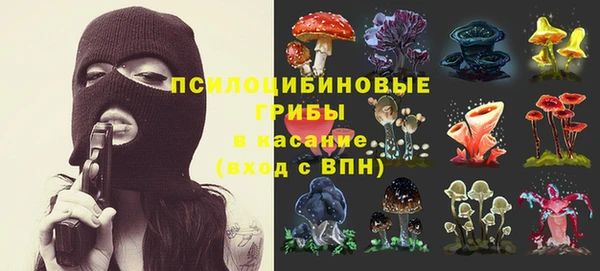 ГАЛЛЮЦИНОГЕННЫЕ ГРИБЫ Алексин