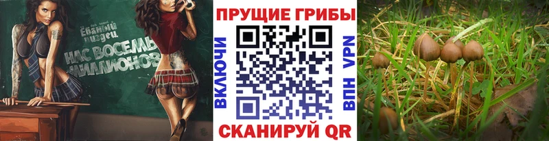 Галлюциногенные грибы мухоморы Питкяранта